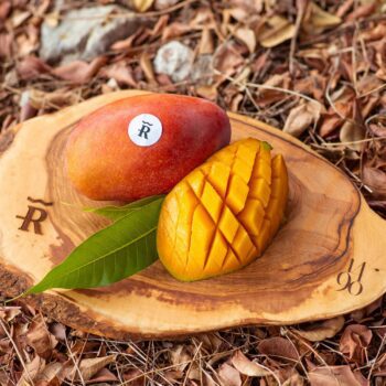 Mango Osteen en caja ecológica de Ribera Verde, variedad dulce y sin fibras