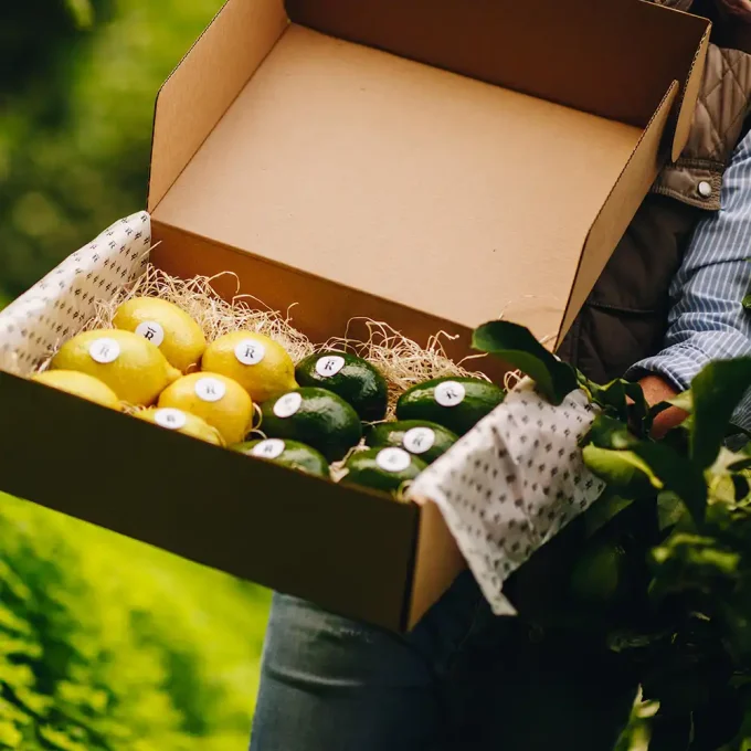 Pack Aguacate Fuerte y Limones - Imagen 2