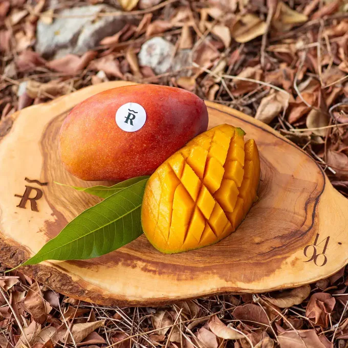 Pack Aguacate Fuerte 2KG y Mango Keitt 2KG - Imagen 3