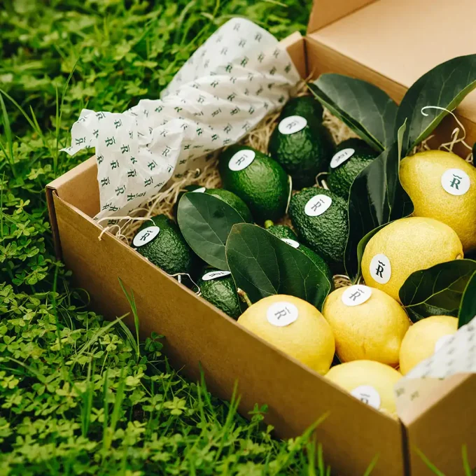 Pack Aguacate Hass y Limones - Imagen 2