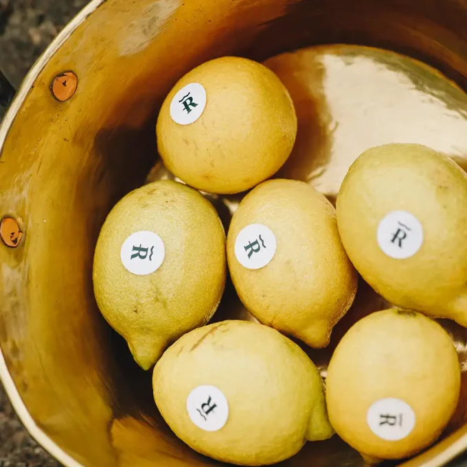 Pack Aguacate Hass y Limones - Imagen 3