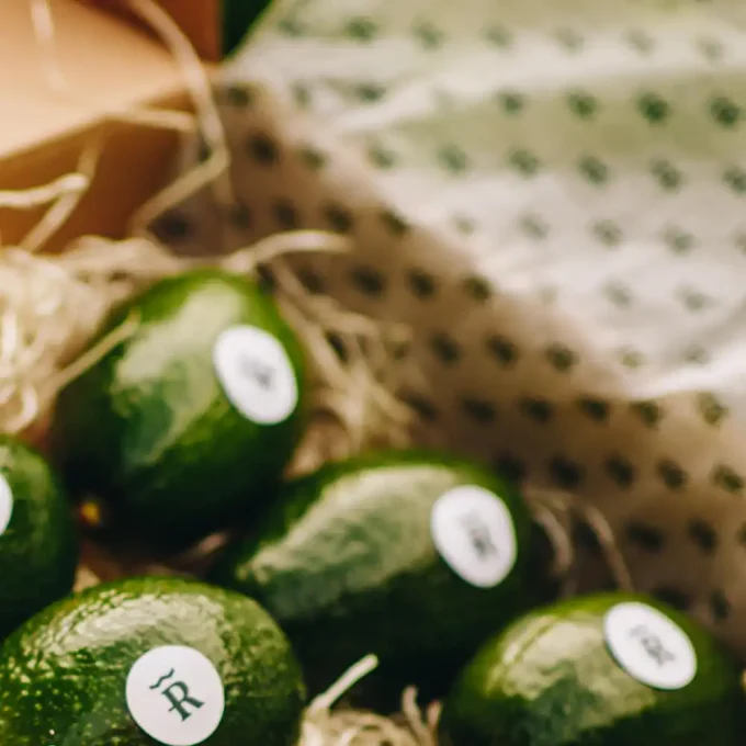 Pack Aguacate Fuerte 2KG y Mango Keitt 2KG - Imagen 2