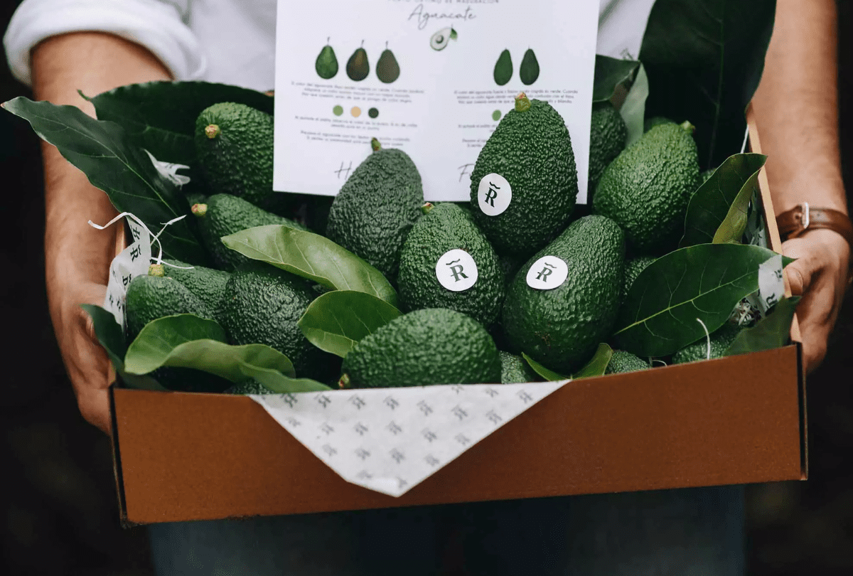 Comprar aguacates ecológicos online directamente del agricultor