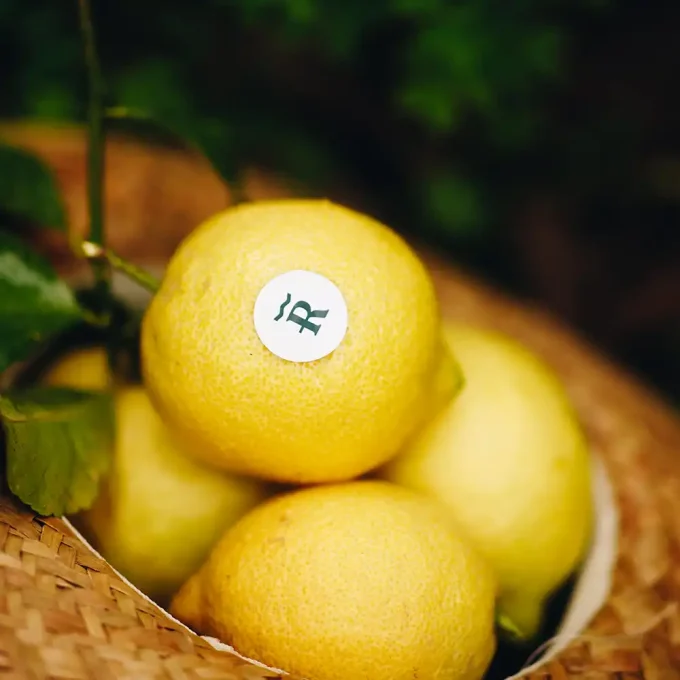 Pack Aguacate Hass y Limones - Imagen 4