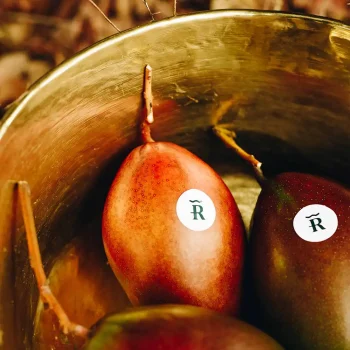 Pack Aguacate Fuerte 2KG y Mango Keitt 2KG