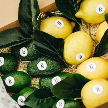 Pack Aguacate Hass y Limones - Frutas frescas Ribera Verde