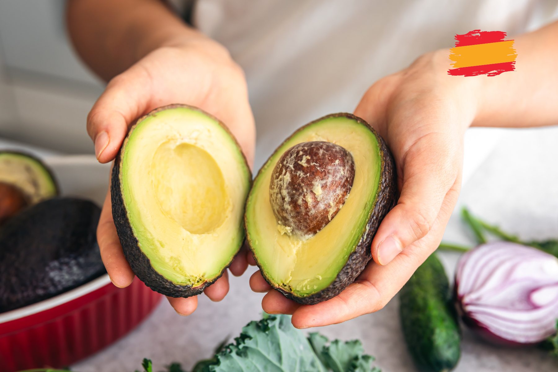 Temporada de aguacates en España
